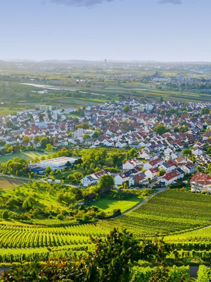 Landschaft mit Weinbergen und Ortschaft im Hintergrund