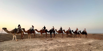 Menschen sitzen hintereinander auf Kamelen in der Wüste